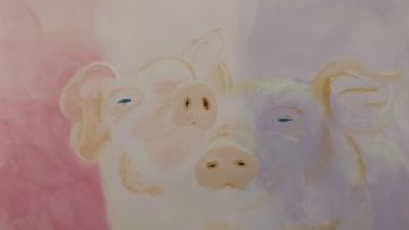 Et portræt af vore glade grise